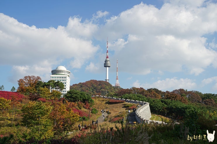 서울 남산타워 단풍 백범광장공원 산책 서울 남산타워 단풍 백범광장공원 산책