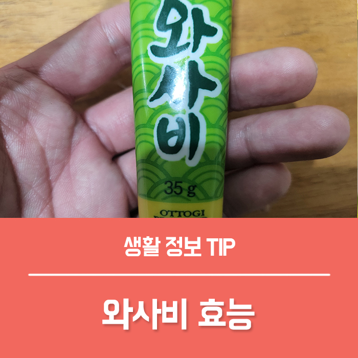  와사비 효능 BEST6, 고추냉이 칼로리 알아두면 도움돼요