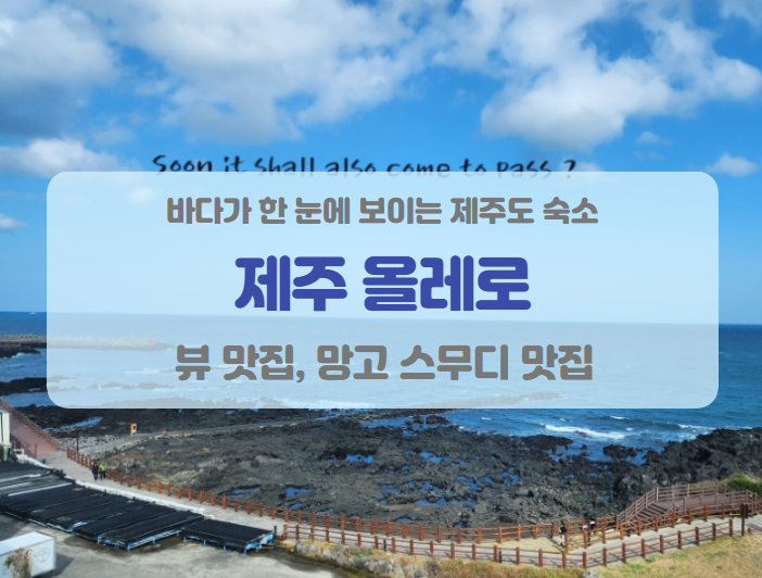 오션뷰 맛집 제주도 숙소 추천 <제주올레로 펜션> 솔직 후기 오션뷰 맛집 제주도 숙소 추천 <제주올레로 펜션> 솔직 후기