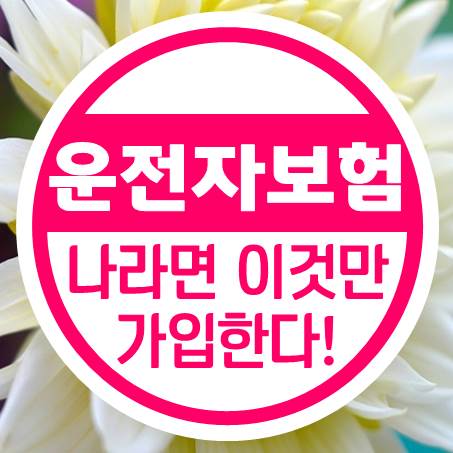  왜 비쌈? 나라면 운전자보험 특약 딱 이것만 가입한다.