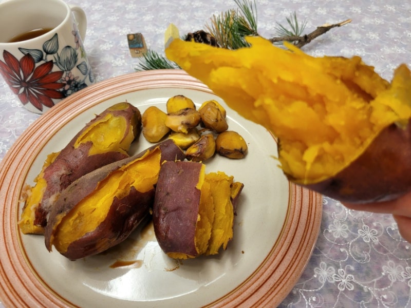 고구마 찌는 방법)) 전기밥솥으로 당진 해나루 황토고구마 찌기