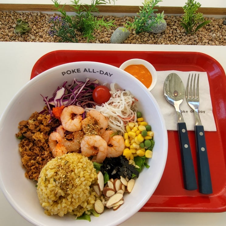 [포케올데이 잠실점] 송리단길 포케 샐러드 혼밥 맛집