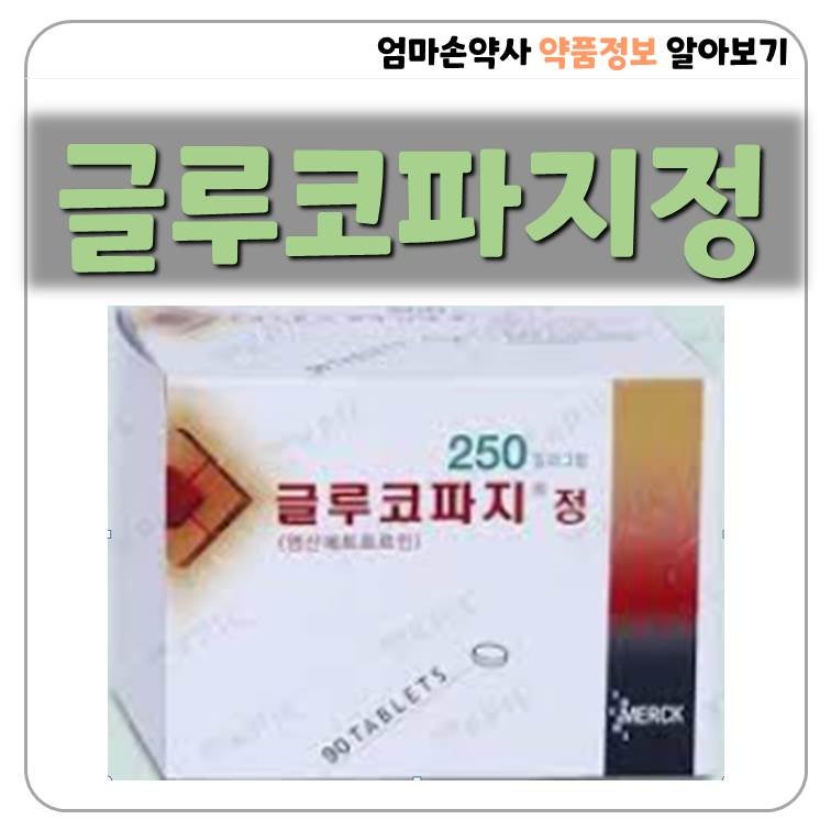 글루코파지 당뇨병 글루코파지정 복용법 부작용