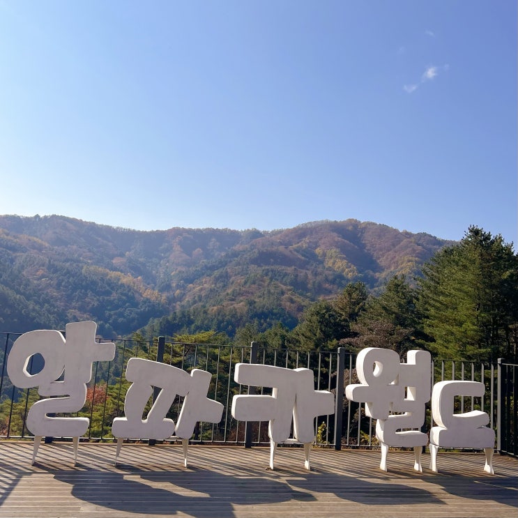  강원도 홍천 ) 가족여행, 이색데이트코스 추천 홍천 알파카월드 (주차, 식당, 공연시간 꿀팁 총정리)