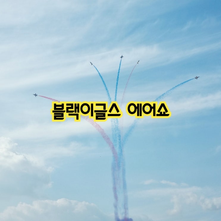  제9회 낙동강 세계평화 문화 대축전 faet 블랙이글스 에어쇼