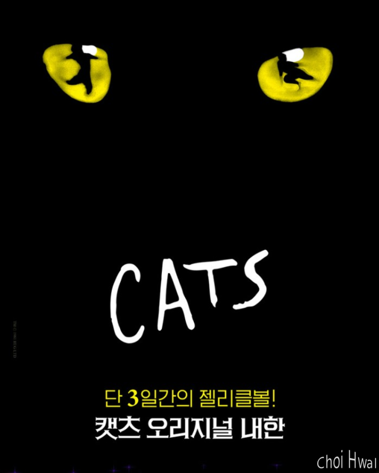 2022-2023 뮤지컬 '캣츠 (Cats)' 오리지널 내한공연 세종시 & 김해시 티켓 오픈! (+기본 정보, 출연배우)
