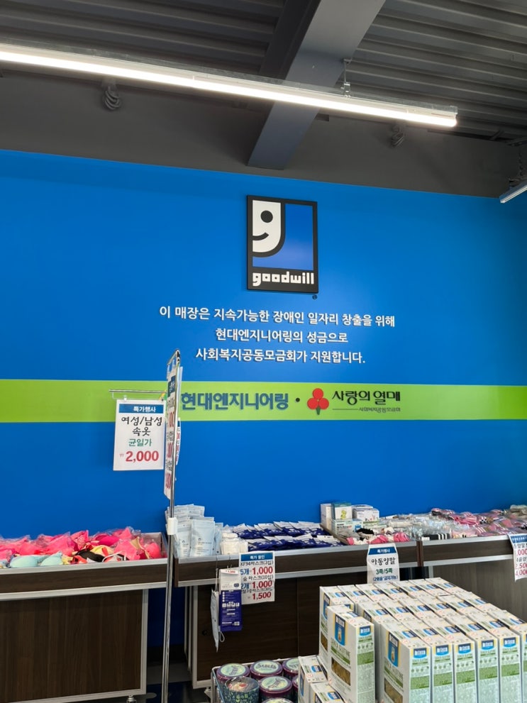  일산 탄현역 굿윌스토어 쇼핑 만원으로 살 수 있는게 많은곳