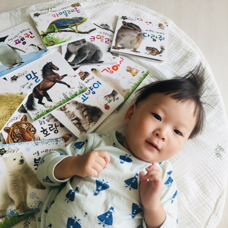지구별 자연동화 AR증강현실카드로  입체감있는 유아전집 20개월아기 추천