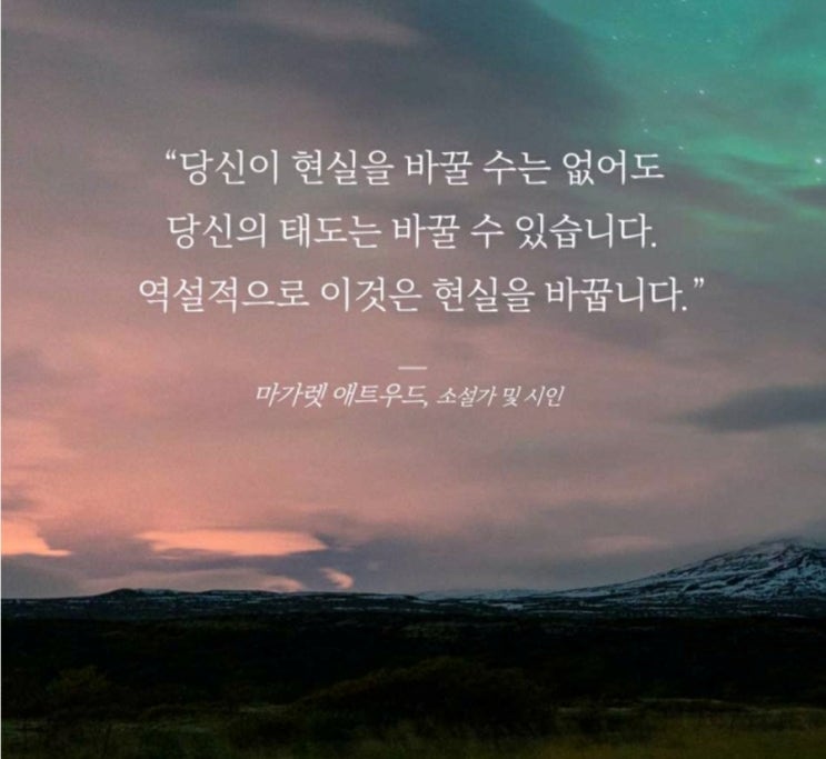 부거사이 [부동산 뉴스와 블로그] 11월 2일(수)