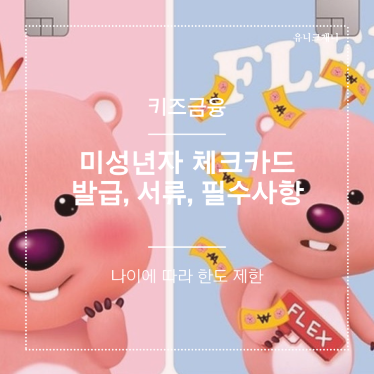  미성년자 체크카드 발급 w.후불교통카드
