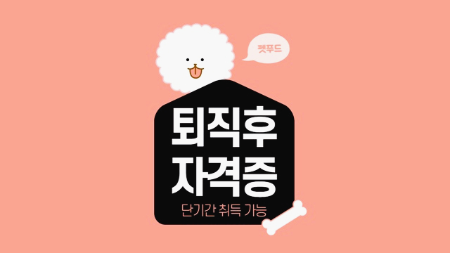 퇴직후 자격증 단기간에 취득할 수 있는 방법 퇴직후 자격증 단기간에 취득할 수 있는 방법