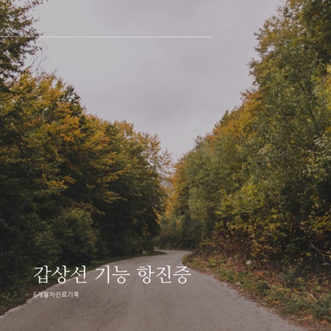  갑상선 기능 항진증 5개월 차 진료기록 정상수치