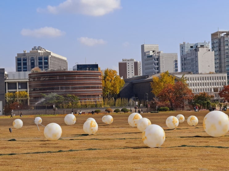 [서울 종로] 가을을 즐기다 -  송현 공원, 되돌아온 우리땅 그러나 어떻게 될까?