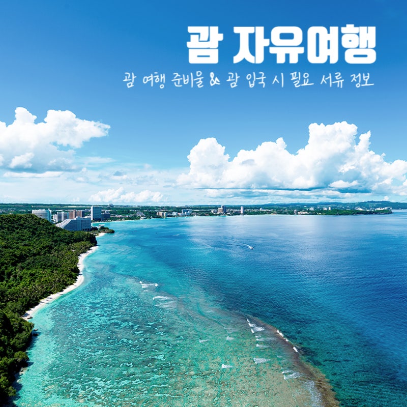 괌입국 서류 괌 자유여행 준비물 미국 전자세관신고서 작성 방법 : 네이버 블로그 괌입국 서류 괌 자유여행 준비물 미국 전자세관신고서 작성 방법 : 네이버 블로그