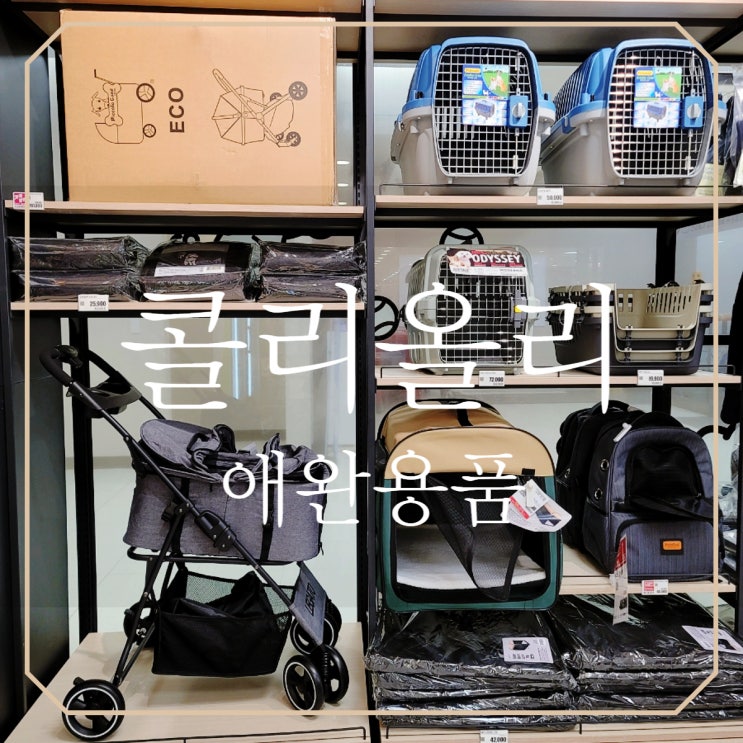  부산 화명동 롯데마트 콜리올리colioli 애완용품 매장