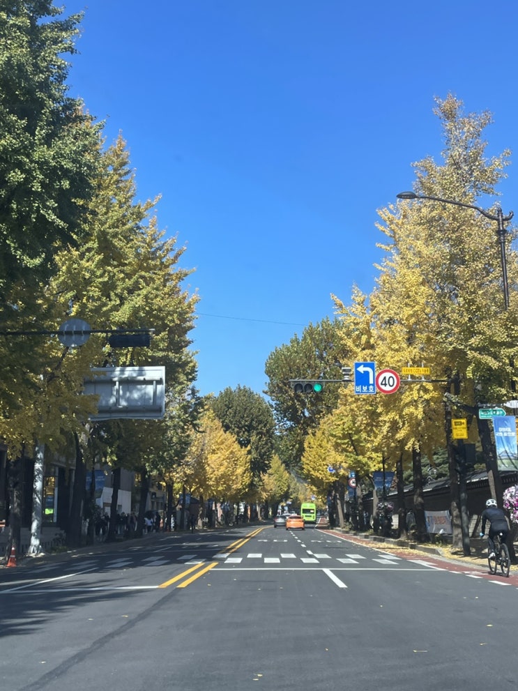  서울 전시 추천 석파정 서울미술관 - 두려움일까 사랑일까 서울미술관 개관 10주년 기념전