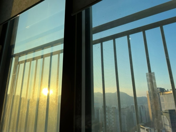  요러고 지내요