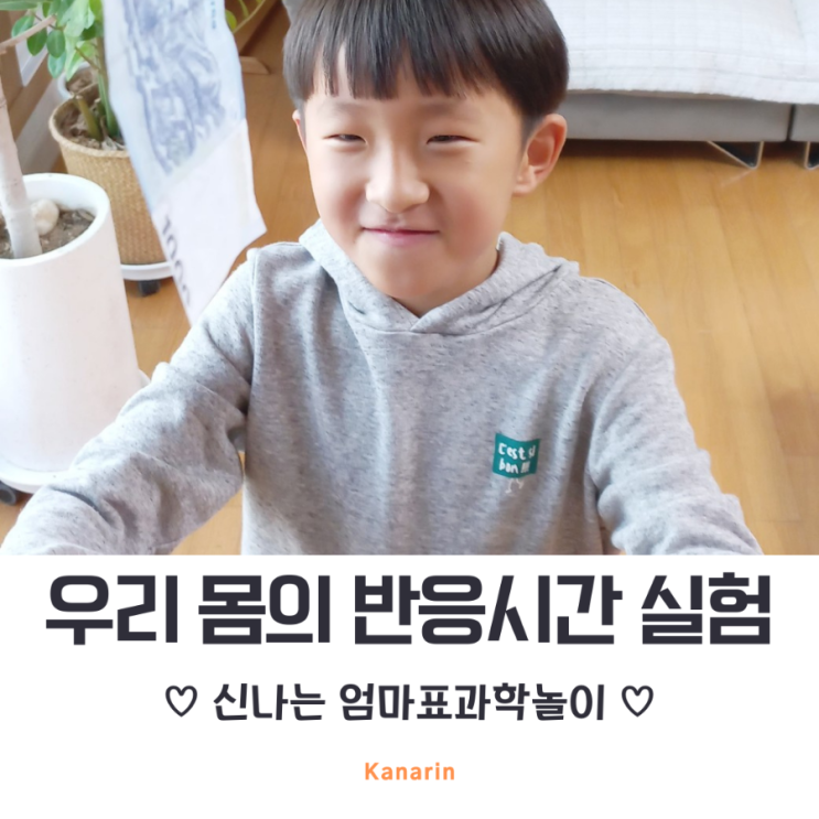  엄마표 과학실험 우리 몸의 반응 시간 실험하기
