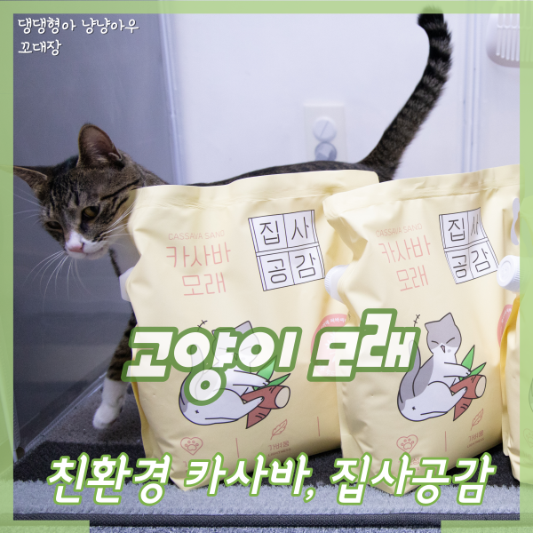 친환경 고양이 모래, 집사공감 카사바로 교체 사용 후기