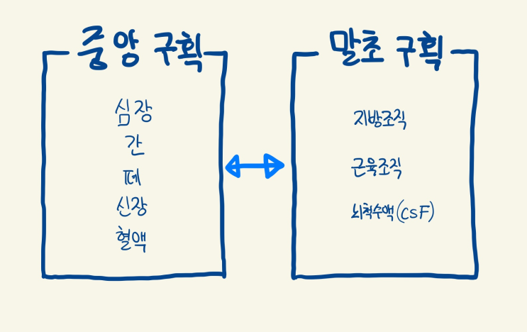  9. 약동학적 모델