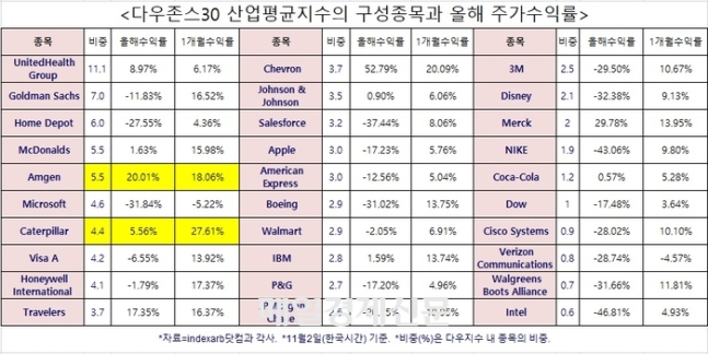 “46년만에 가장 많이 올랐다”...우량주 30개 모인 다우지수 들여다보니