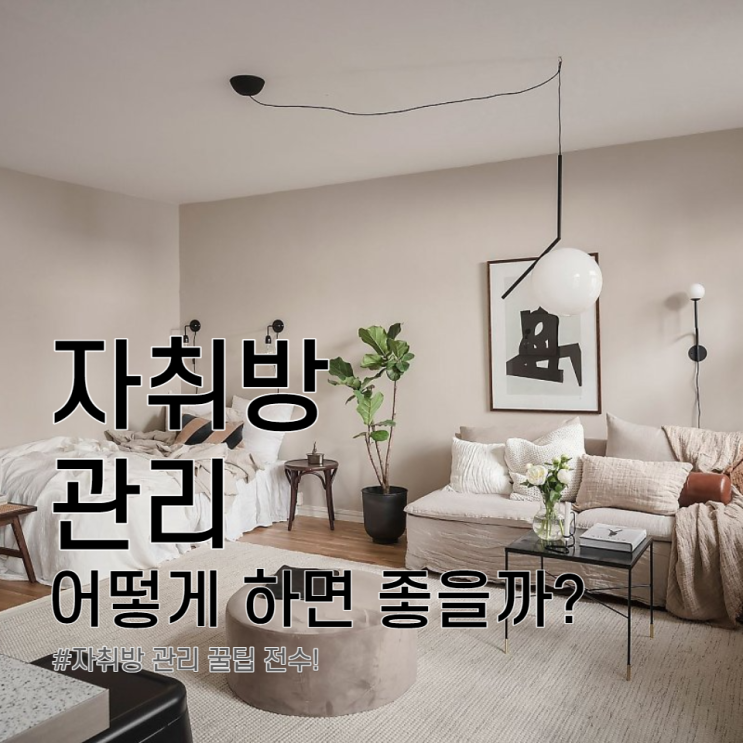  자취방 관리 꿀팁 전수