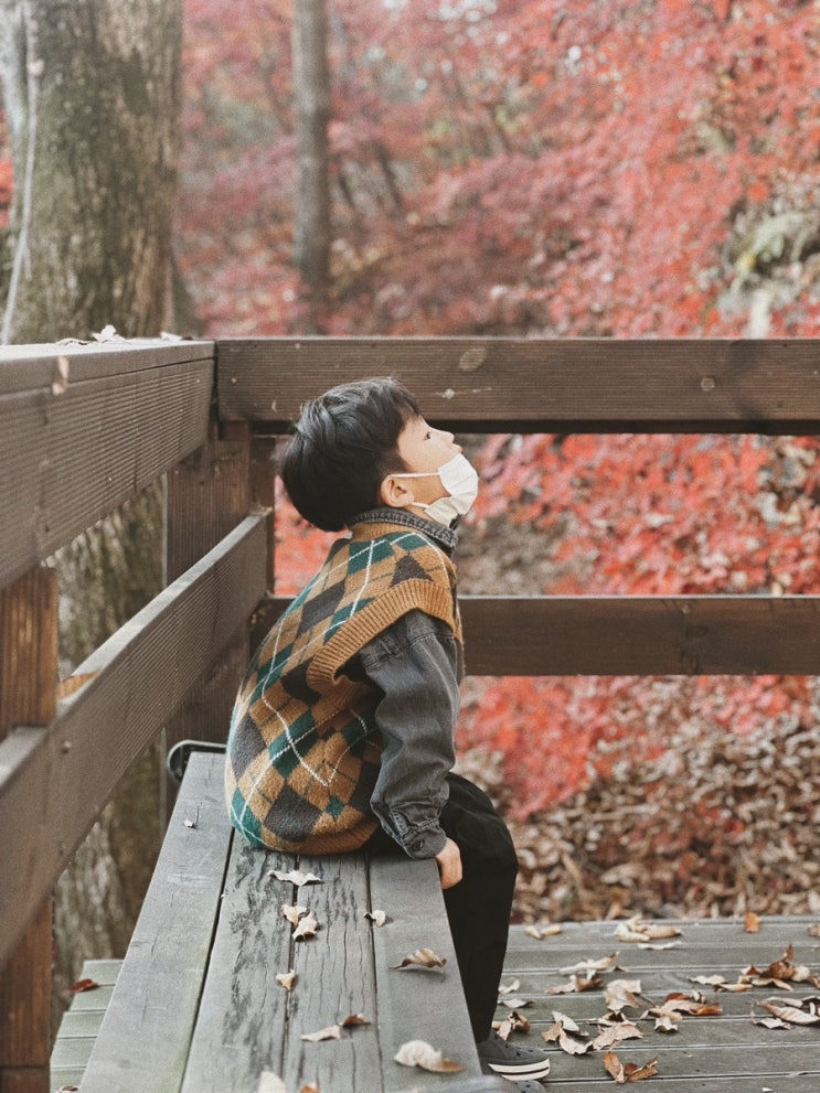  2022년 가을 어느날 일상의 조각들