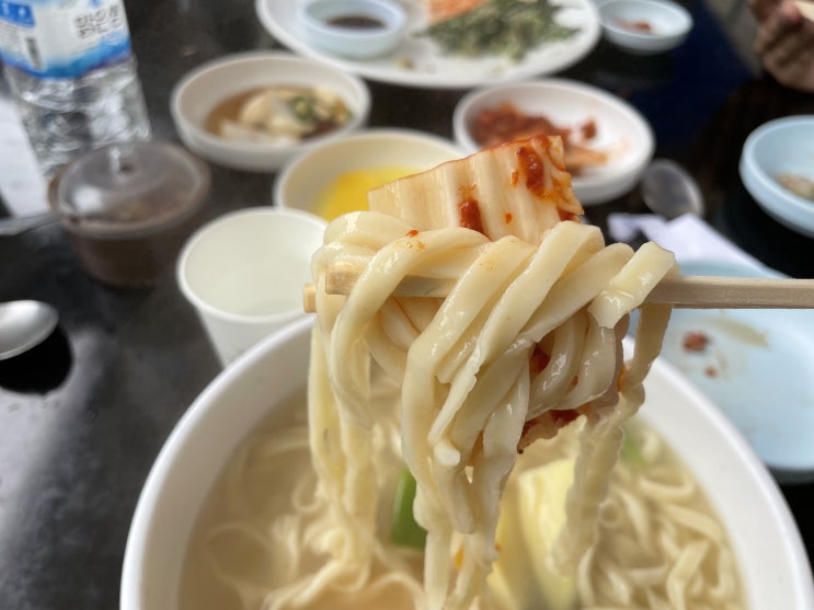  [경주 칼국수 맛집] 센과 치히로 터널로 유명한 "금산재칼국수"