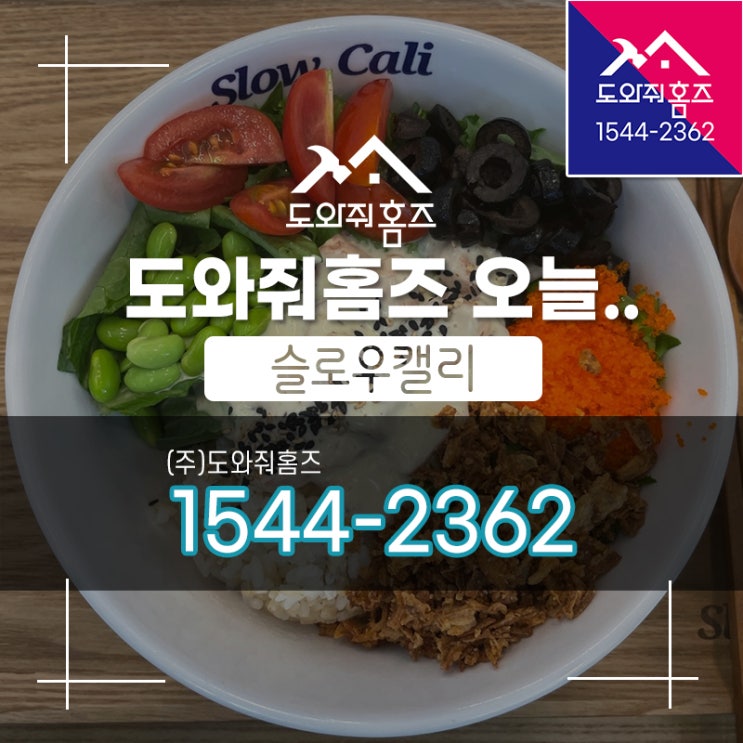  [도와줘홈즈 오늘..] 직장인 점심 슬로우 캘리