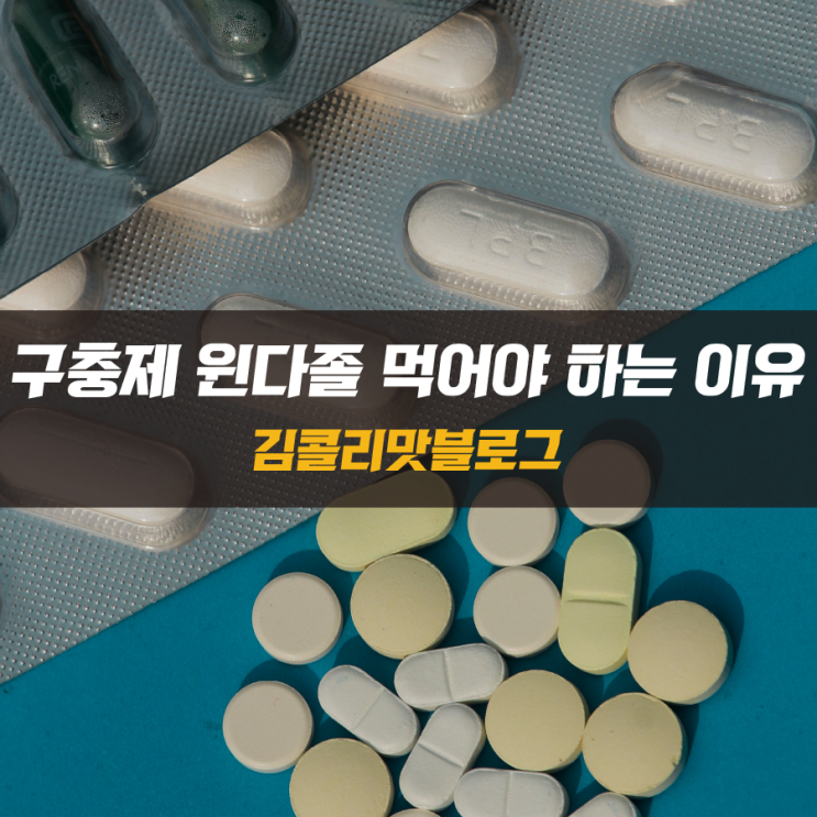  구충제 윈다졸 1년에 한번 구충제를 먹어야 하는 이유