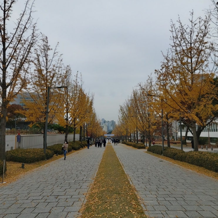  [Journal / 11월 3일의 일상]
