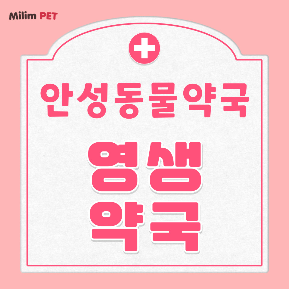 영생약국 사진 1