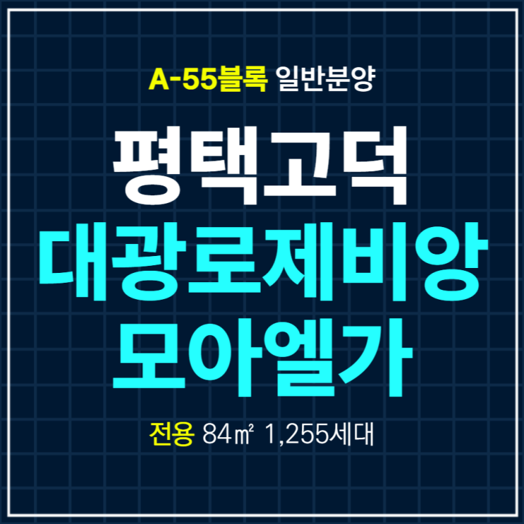  평택고덕 A-55블록 대광로제비앙 모아엘가 일반분양안내