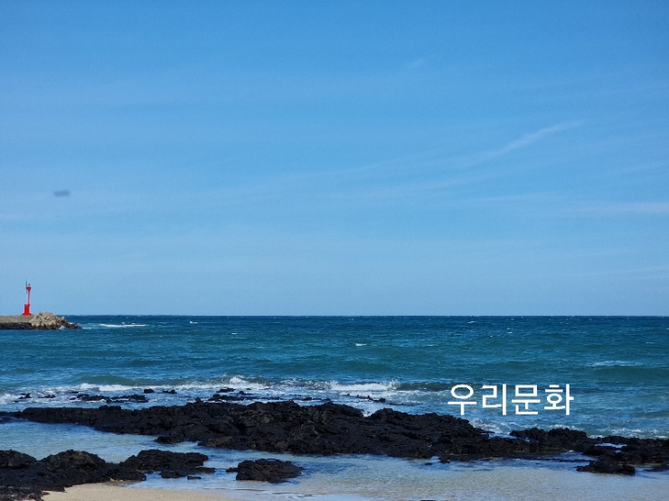 브레붸도 이 처럼 맛있을수 있는 제주 풍림다방