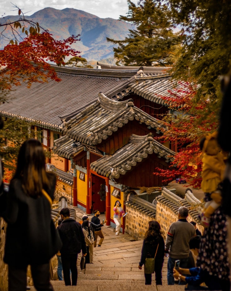  전국 가을 명소 핵심 요약집 2탄 ㅣ 부산, 울산, 대구편