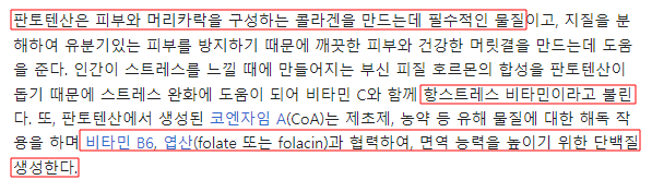 판토텐산 효능 비오틴 없으면 무용지물