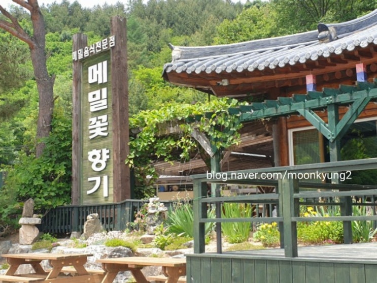 봉평맛집 메밀꽃향기 순 메밀묵 요리 특이합니다