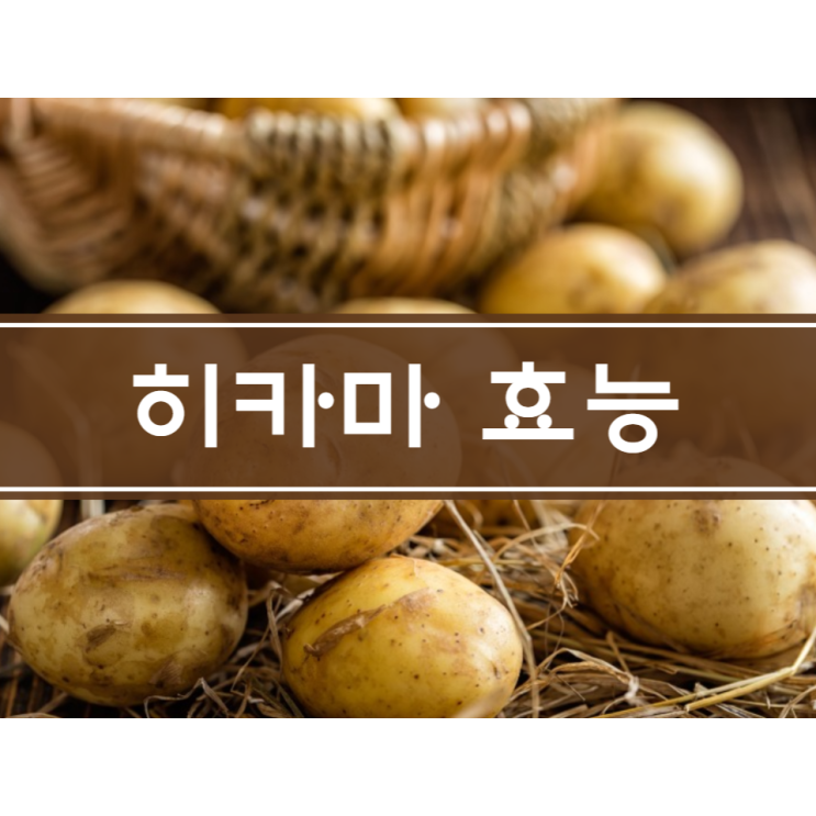 히카마 효능 7가지 천연 인슐린 멕시코 감자 먹는법 부작용 알고 먹어요 히카마 효능 7가지 천연 인슐린 멕시코 감자 먹는법 부작용 알고 먹어요