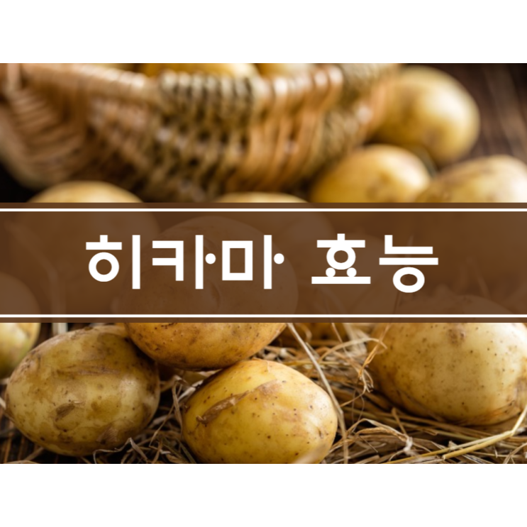 히카마 효능 7가지 천연 인슐린 멕시코 감자 먹는법 부작용 알고 먹어요