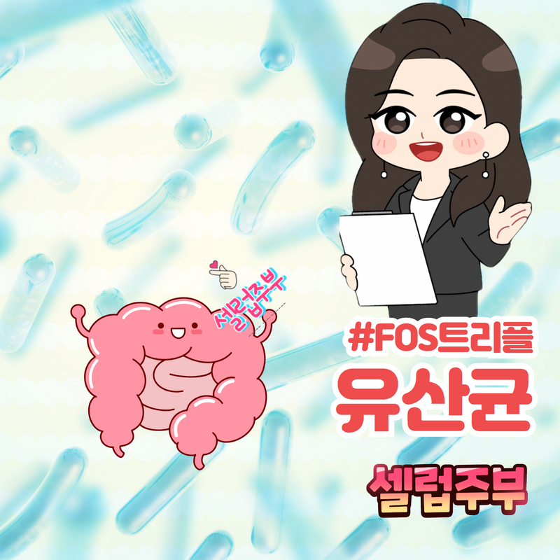 프리바이오틱스 프락토올리고당.