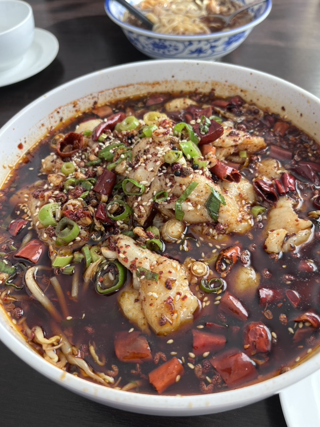  독일 하이델베르크 :: 진짜 맛난 중국식당 "양다"   아시아도매점 "Tiger Dragon"