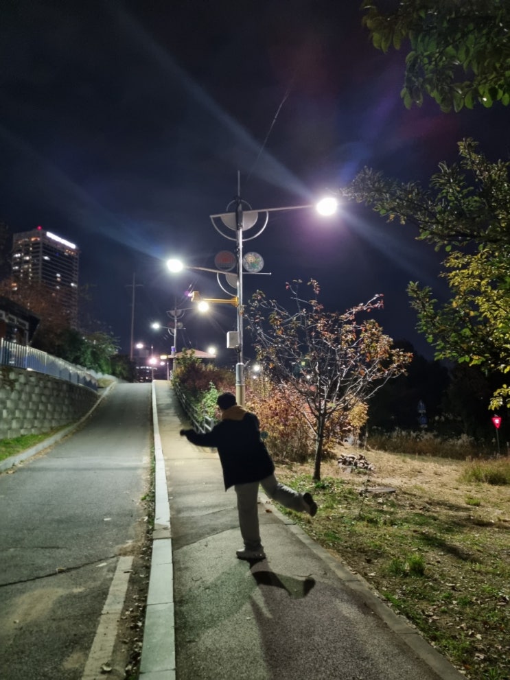 세계 강아지의 날 2 세계 강아지의 날 2