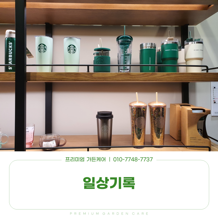 일상기록, 소소한 커피와 유자민트티 ~ ^^