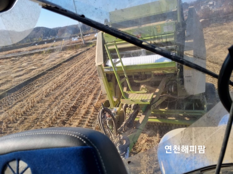 논 볏짚작업 공룡알 곤포사일리지 올해 가격