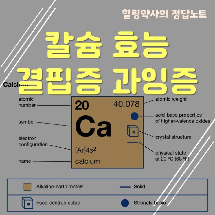  칼슘 기능 1일섭취권장량 결핍증 과잉증 칼슘풍부한 식품