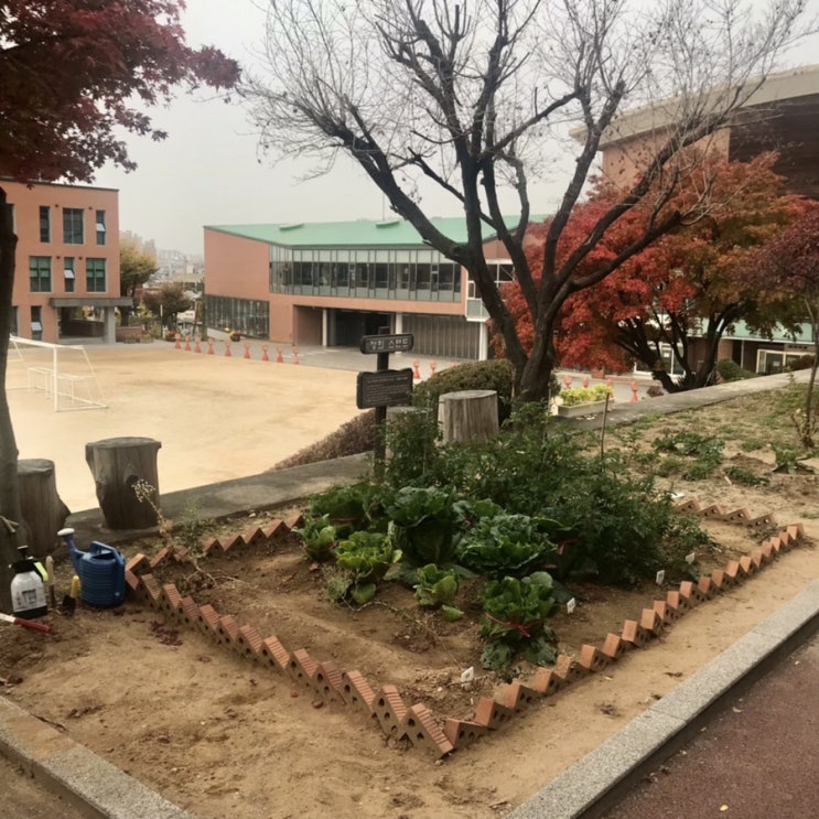 슬쌍디아빠 교단일기 FILE 228 / 텃밭