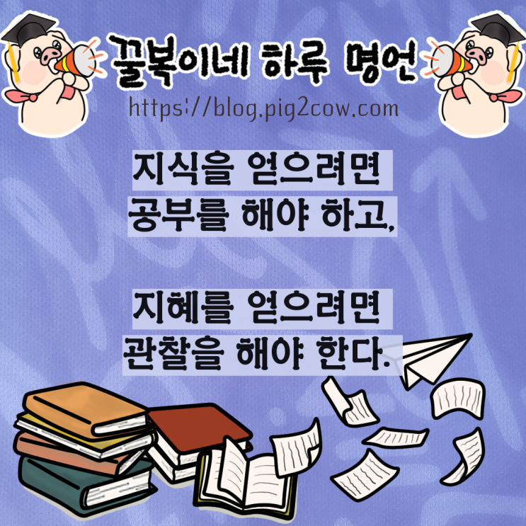  꿀복이네 하루 명언 # 관찰