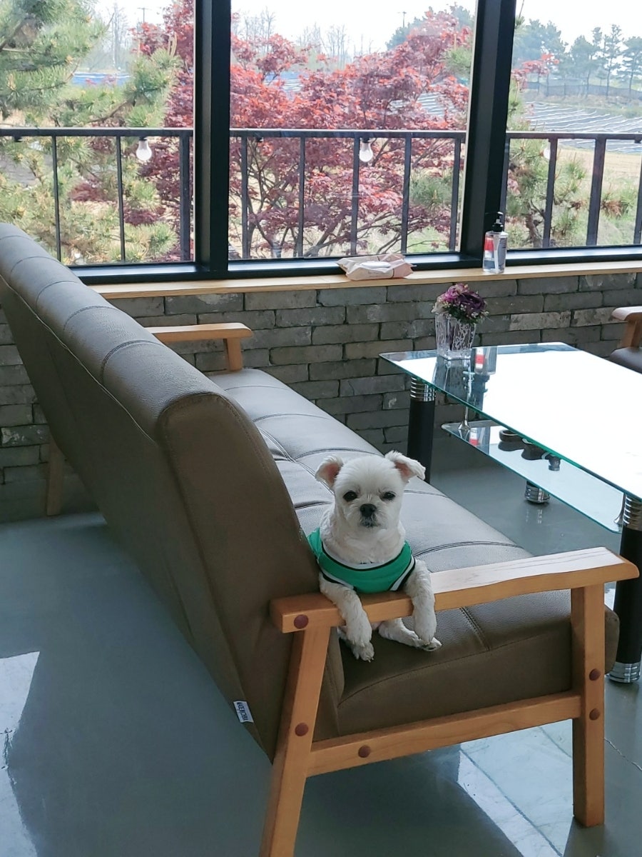 숙카페 사진 3