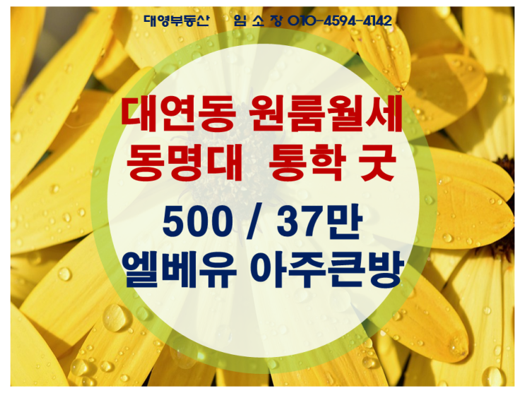  대연동 투룸같은 원룸 대연역 인근 동명대 원룸 통학 굿