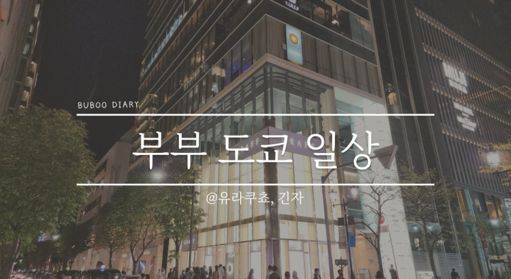  영희부부 일상#5 2022.11.3 목요일 - 일본 휴일 긴자 나들이(빅카메라, 케유카, 막스마라, 까르띠에, 해리윈스턴, 반클리프)와 가성비 디너